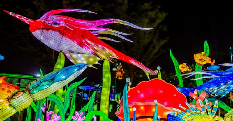 金沙灘啤酒城上演現實版“神筆馬良”